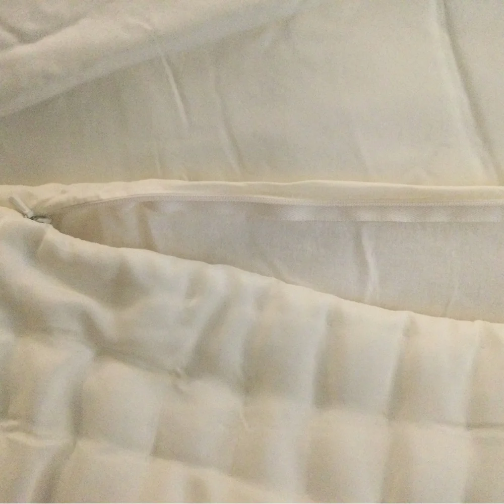 Pottery Barn Ivory Silk Euro Pillow Sham